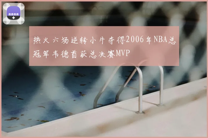 热火六场逆转小牛夺得2006年NBA总冠军韦德首获总决赛MVP