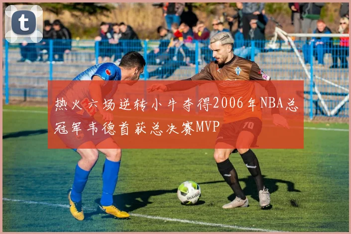 热火六场逆转小牛夺得2006年NBA总冠军韦德首获总决赛MVP