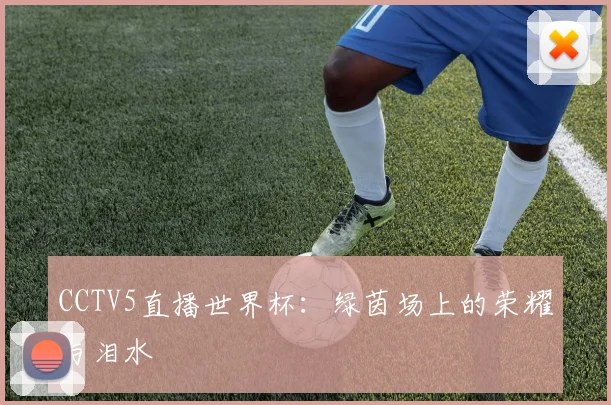 CCTV5直播世界杯:绿茵场上的荣耀与泪水