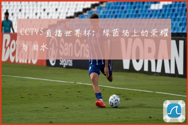 CCTV5直播世界杯：绿茵场上的荣耀与泪水