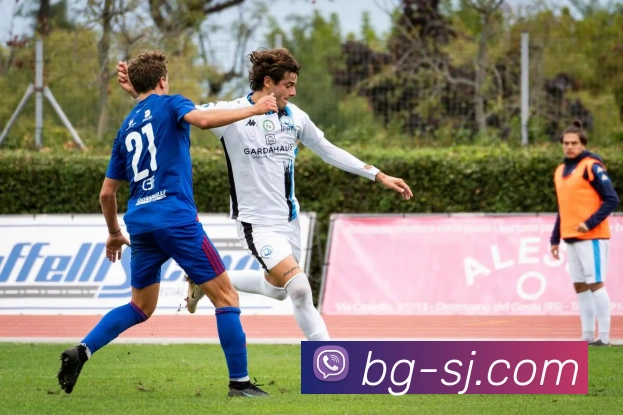 世界杯开户平台平台生态图